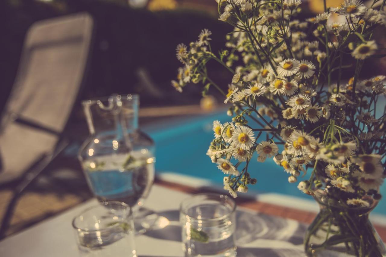 Agriturismo I Suri アスティ エクステリア 写真