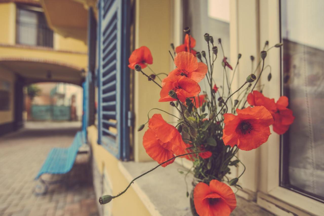 Agriturismo I Suri アスティ エクステリア 写真